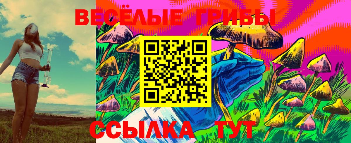 Гатчина  наркошоп  Вход с VPN  Псилоцибиновые грибы прущие грибы 